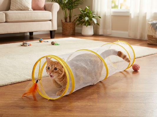 Cat Tunnel lifestyle