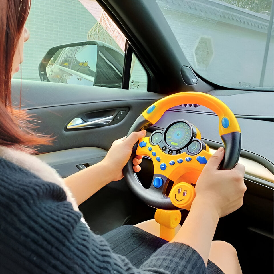 Steering Toy